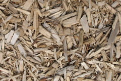 biomass boilers Cathedine